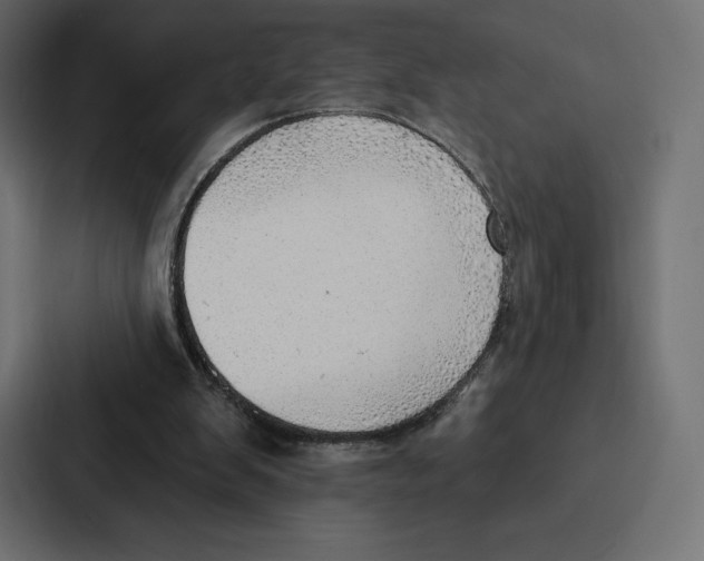X0000086800103200705111843