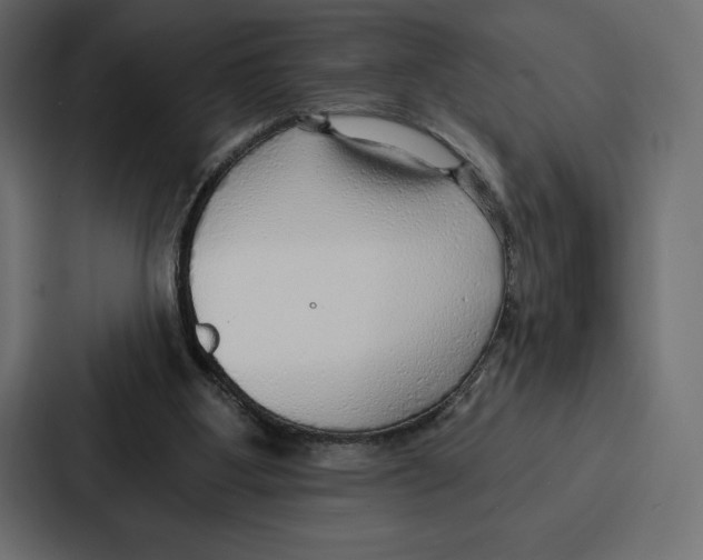 X0000086800107200705111843