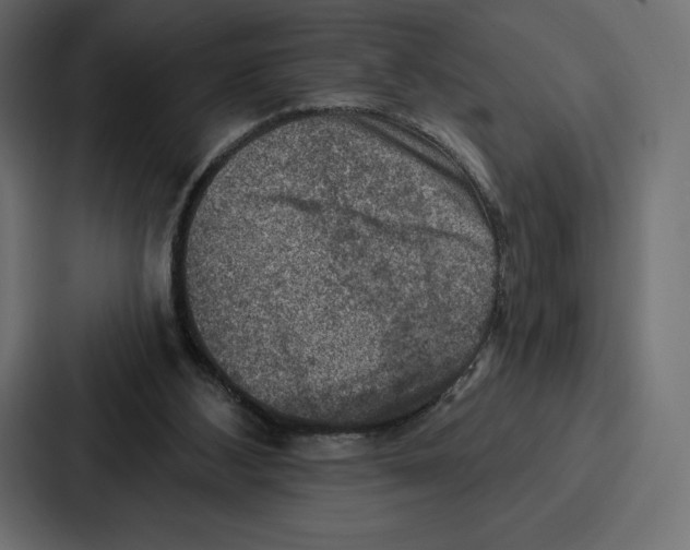 X0000086800108200705111843
