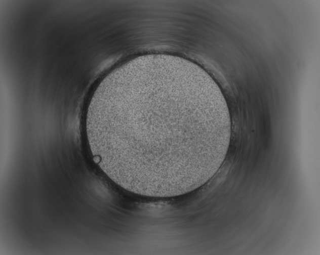 X0000086800112200705111843