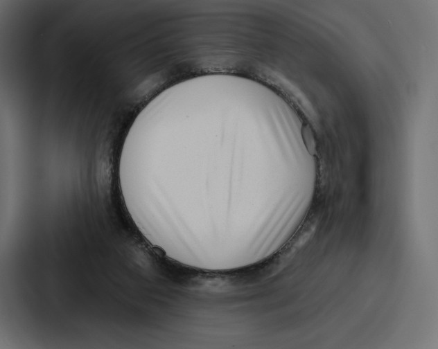 X0000086800113200705111843
