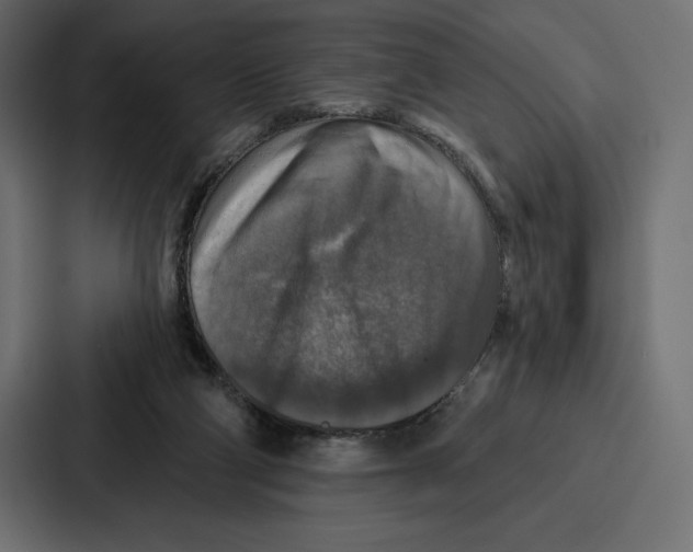 X0000086800114200705111843