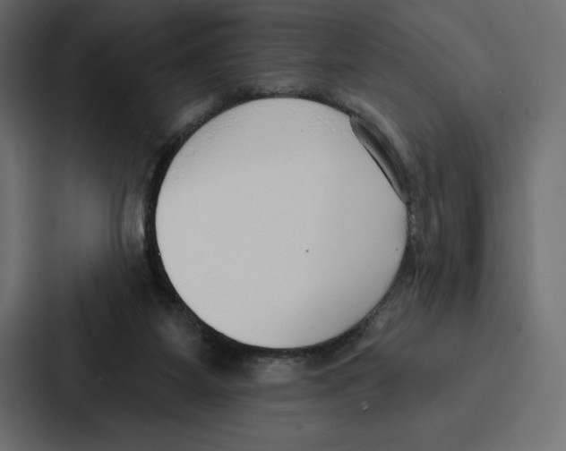 X0000086800115200705111843