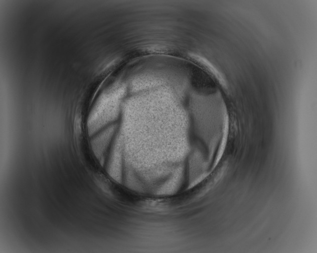 X0000086800117200705111843