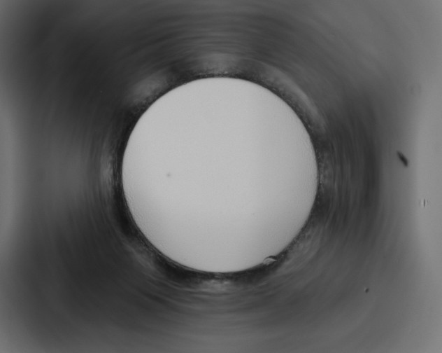 X0000086800119200705111843