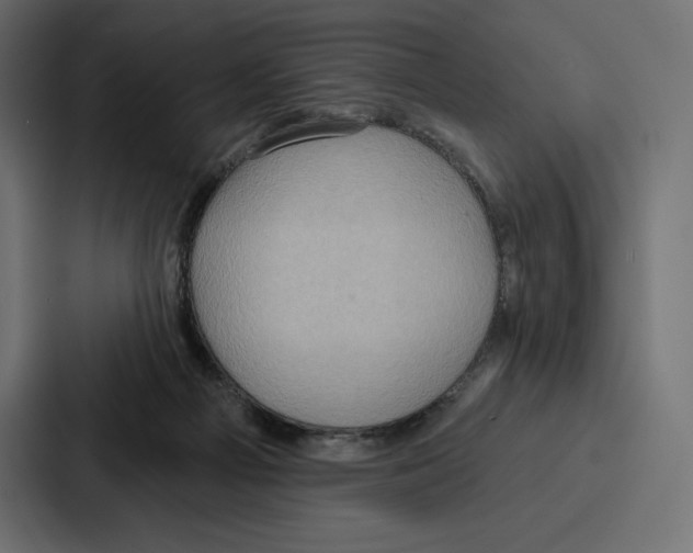X0000086800121200705111843