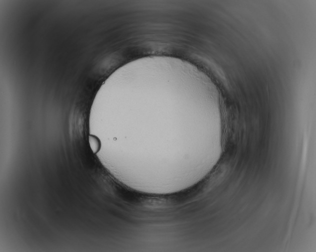 X0000086800123200705111843