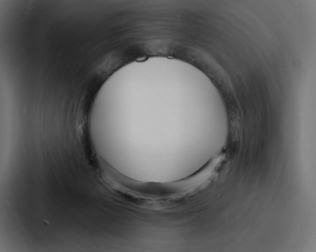 X0000086800125200705111843