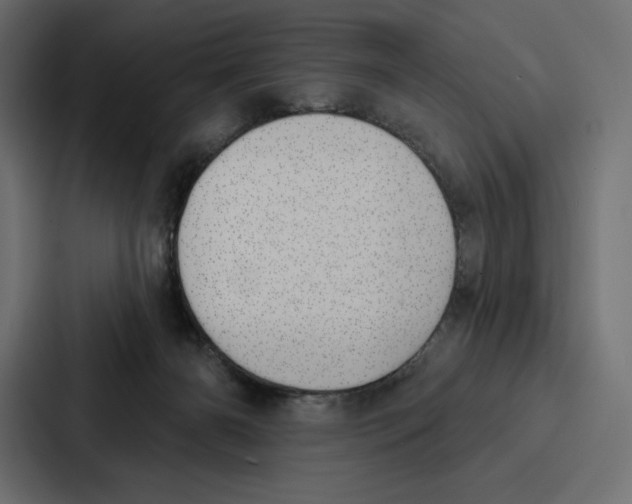 X0000086800126200705111843