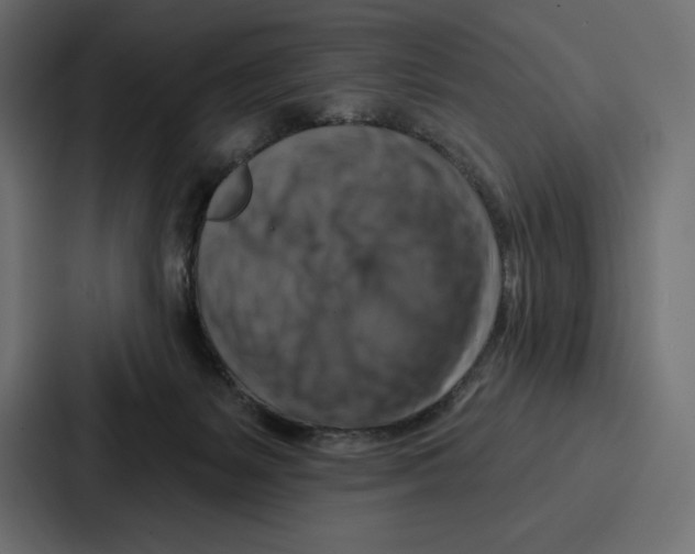 X0000086800127200705111843