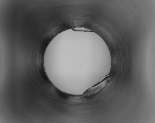 X0000086800129200705111843