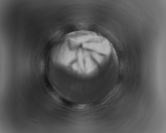 X0000086800130200705111843