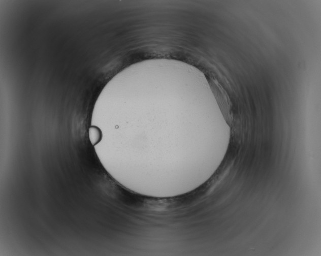 X0000086800131200705111843
