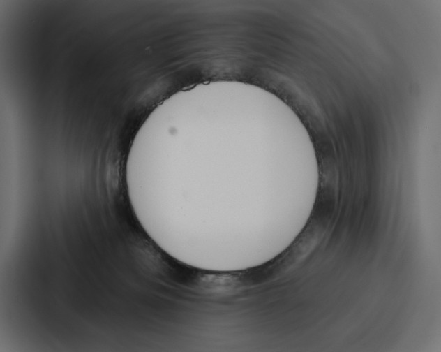 X0000086800133200705111843