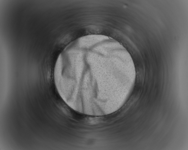 X0000086800134200705111843
