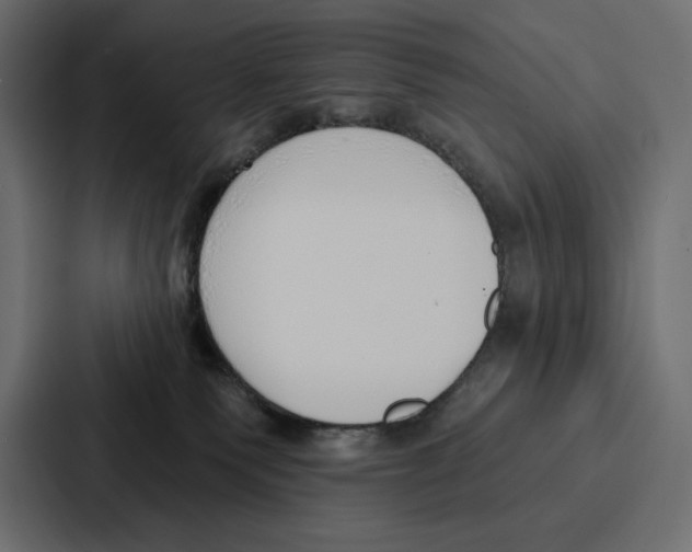 X0000086800135200705111843