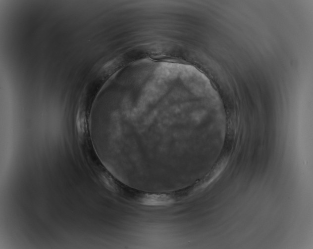 X0000086800137200705111843