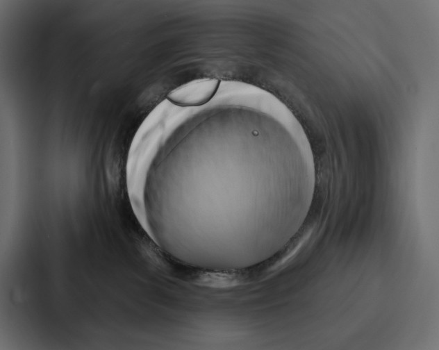X0000086800139200705111843