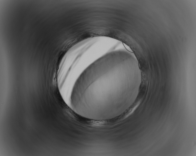 X0000086800143200705111843