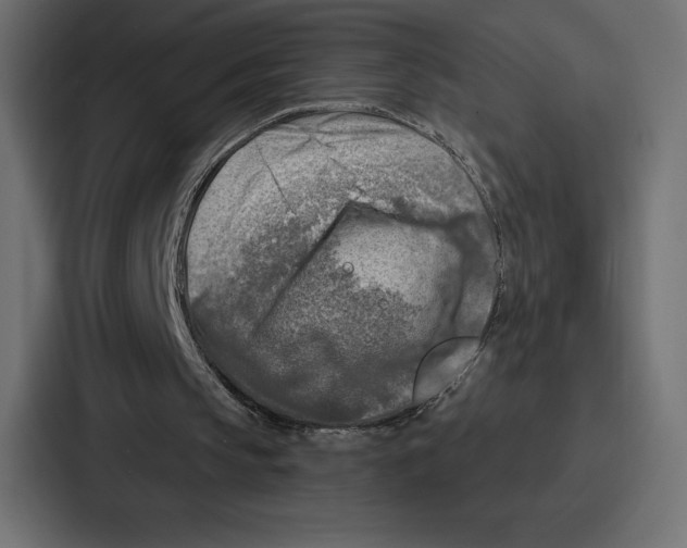 X0000086800145200705111842