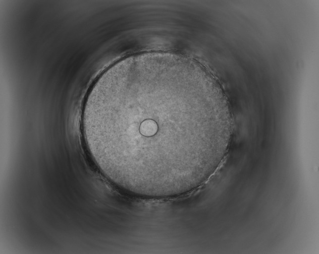 X0000086800146200705111842
