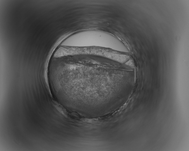 X0000086800147200705111842
