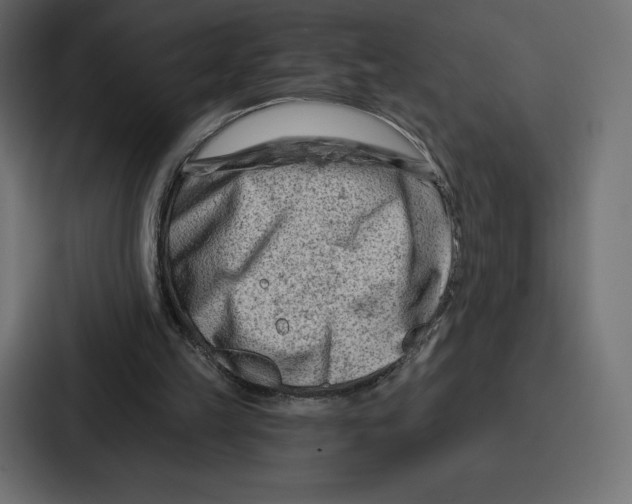 X0000086800149200705111842