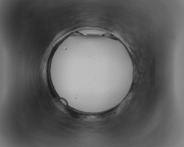 X0000086800151200705111842