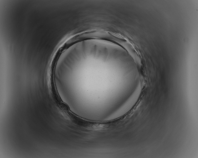 X0000086800152200705111842