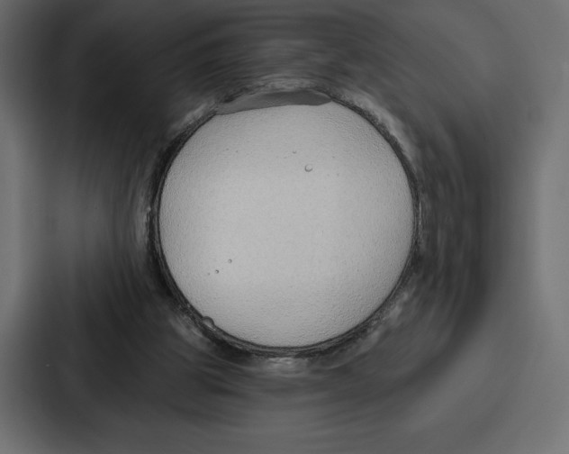 X0000086800153200705111842