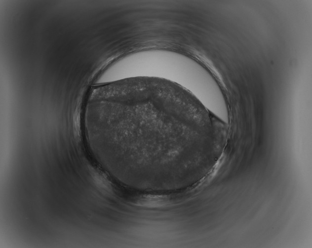 X0000086800154200705111842