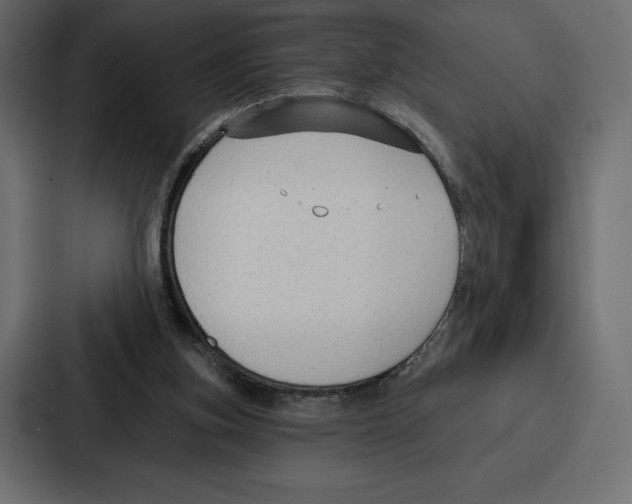 X0000086800155200705111842