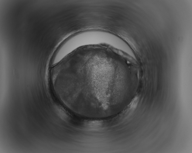 X0000086800156200705111842
