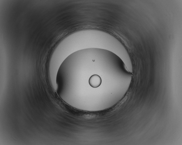 X0000086800158200705111842