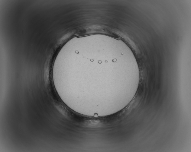 X0000086800159200705111842