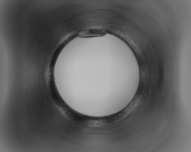 X0000086800160200705111842
