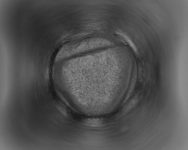X0000086800161200705111842
