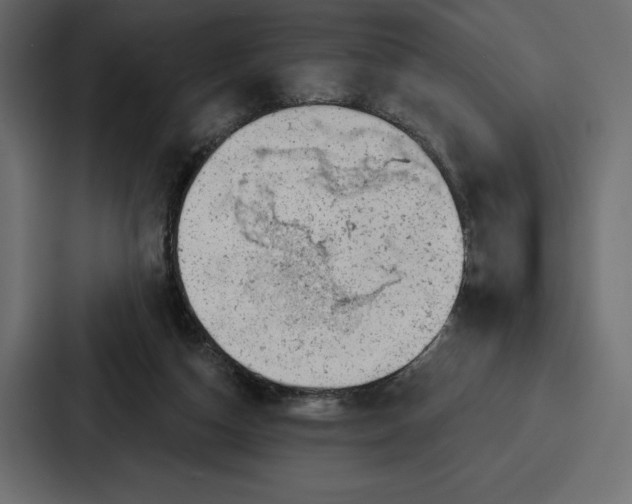 X0000086800162200705111842