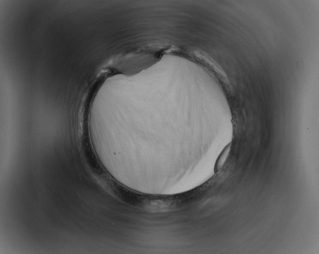 X0000086800163200705111842