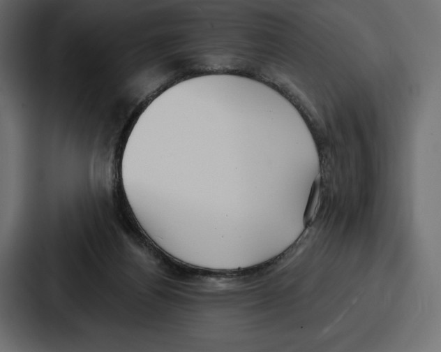 X0000086800164200705111842