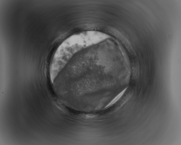 X0000086800165200705111842
