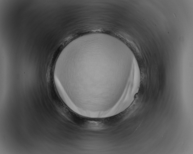 X0000086800167200705111842
