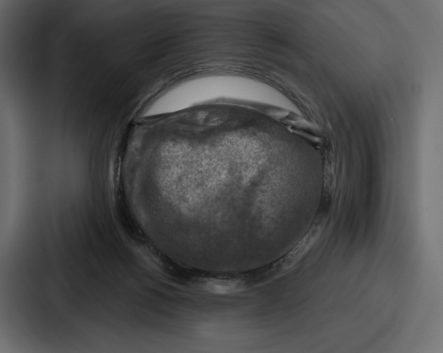 X0000086800168200705111842