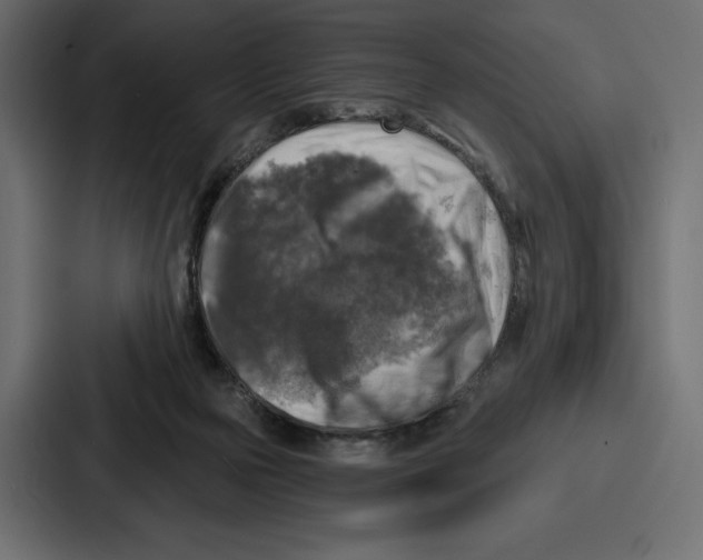 X0000086800169200705111842