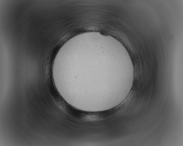 X0000086800171200705111842