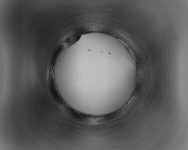 X0000086800172200705111842