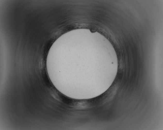X0000086800173200705111842
