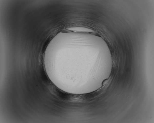 X0000086800175200705111842