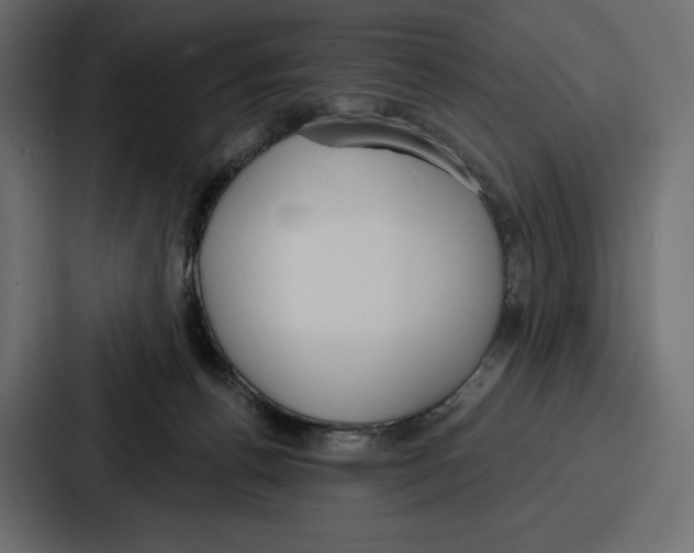 X0000086800176200705111842