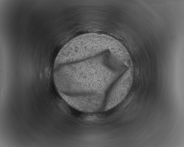 X0000086800177200705111842